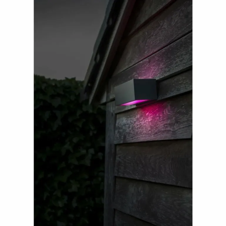Applique murale d'extérieur Lutec GEMINI LED Anthracite, 2 lumières, Changeur de couleurs