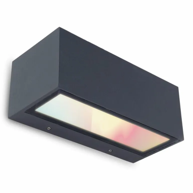 Applique murale d'extérieur Lutec GEMINI LED Anthracite, 2 lumières, Changeur de couleurs