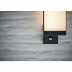 Applique murale d'extérieur Lutec CUBA LED Anthracite, 1 lumière, Détecteur de mouvement