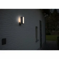Applique murale d'extérieur Lutec CUBA LED Anthracite, 1 lumière, Détecteur de mouvement