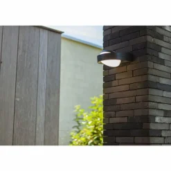 Applique murale d'extérieur Lutec Fele LED Anthracite, 1 lumière