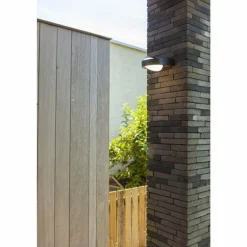 Applique murale d'extérieur Lutec Fele LED Anthracite, 1 lumière