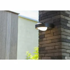 Applique murale d'extérieur Lutec Fele LED Anthracite, 1 lumière