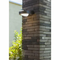Applique murale d'extérieur Lutec Fele LED Anthracite, 1 lumière