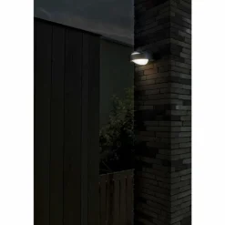 Applique murale d'extérieur Lutec Fele LED Anthracite, 1 lumière
