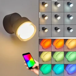 Applique murale d'extérieur Papagayos LED Anthracite, 1 lumière, Changeur de couleurs