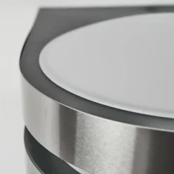 Applique murale d'extérieur Tordillos LED Chrome, 1 lumière