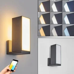 Applique murale d'extérieur Swanek LED Anthracite, 1 lumière