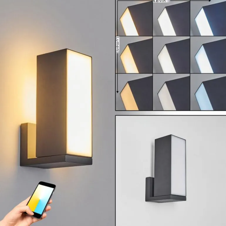 Applique murale d'extérieur Swanek LED Anthracite, 1 lumière