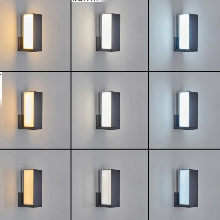 Applique murale d'extérieur Swanek LED Anthracite, 1 lumière