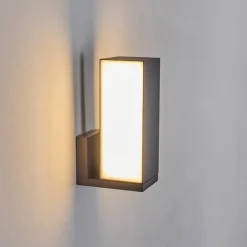 Applique murale d'extérieur Swanek LED Anthracite, 1 lumière