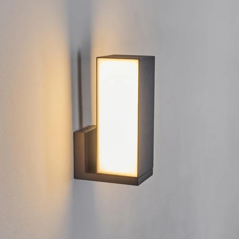 Applique murale d'extérieur Swanek LED Anthracite, 1 lumière