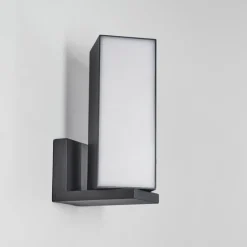 Applique murale d'extérieur Swanek LED Anthracite, 1 lumière