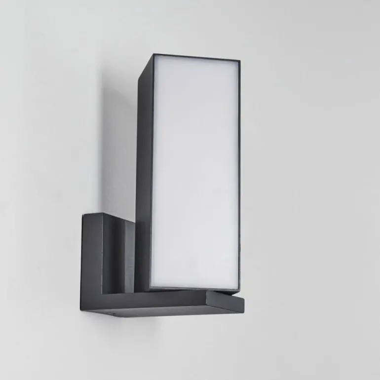 Applique murale d'extérieur Swanek LED Anthracite, 1 lumière