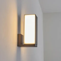 Applique murale d'extérieur Swanek LED Anthracite, 1 lumière