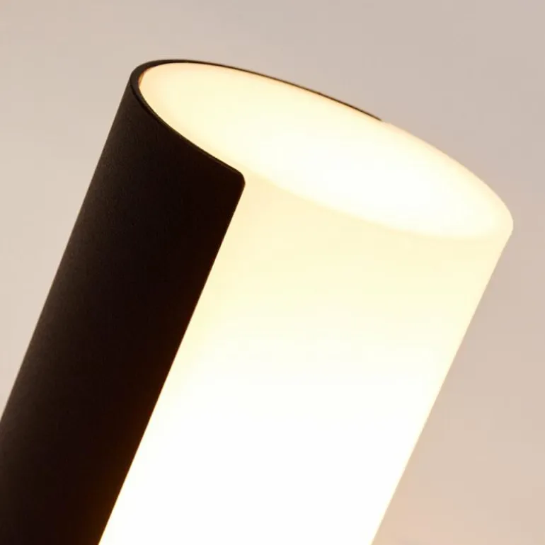 Applique murale d'extérieur Baulund LED Noir, 1 lumière