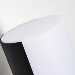 Applique murale d'extérieur Baulund LED Noir, 1 lumière