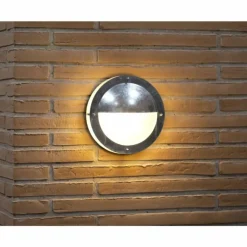 Applique murale d'extérieur Nordlux MALTE Argenté, 1 lumière
