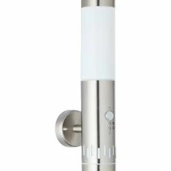 Applique murale d'extérieur Brilliant Leigh Argenté, 1 lumière, Détecteur de mouvement