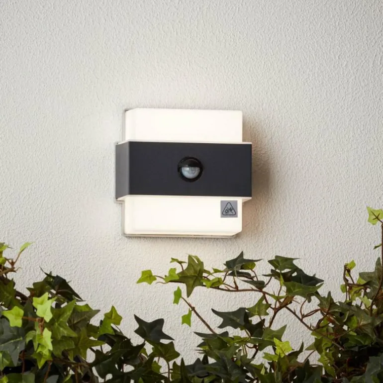 Applique murale d'extérieur Brilliant Archie LED Noir, 1 lumière, Détecteur de mouvement