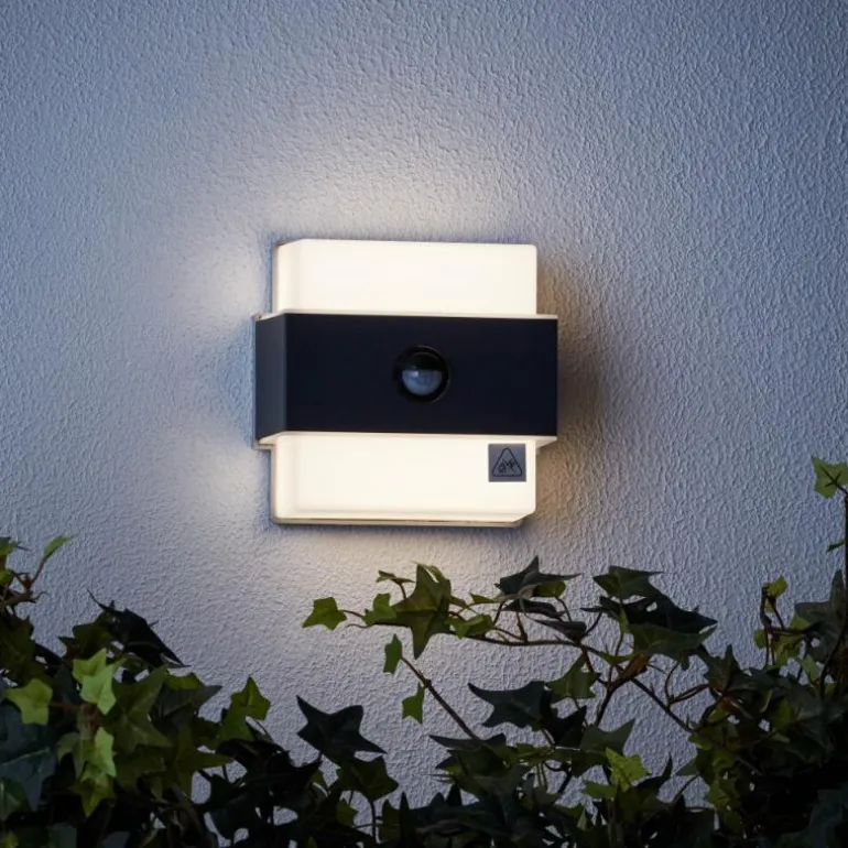 Applique murale d'extérieur Brilliant Archie LED Noir, 1 lumière, Détecteur de mouvement