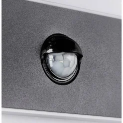 Applique murale d'extérieur Brilliant Archie LED Noir, 1 lumière, Détecteur de mouvement