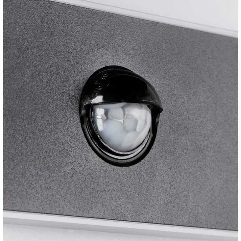 Applique murale d'extérieur Brilliant Archie LED Noir, 1 lumière, Détecteur de mouvement