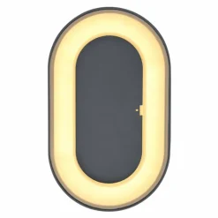 Applique murale d'extérieur Globo SURA LED Anthracite, 1 lumière