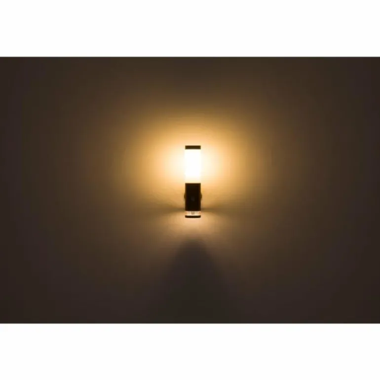 Applique murale d'extérieur Globo JAICY Couleur bois, 1 lumière