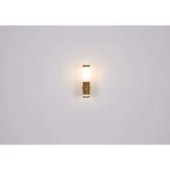Applique murale d'extérieur Globo JAICY Couleur bois, 1 lumière