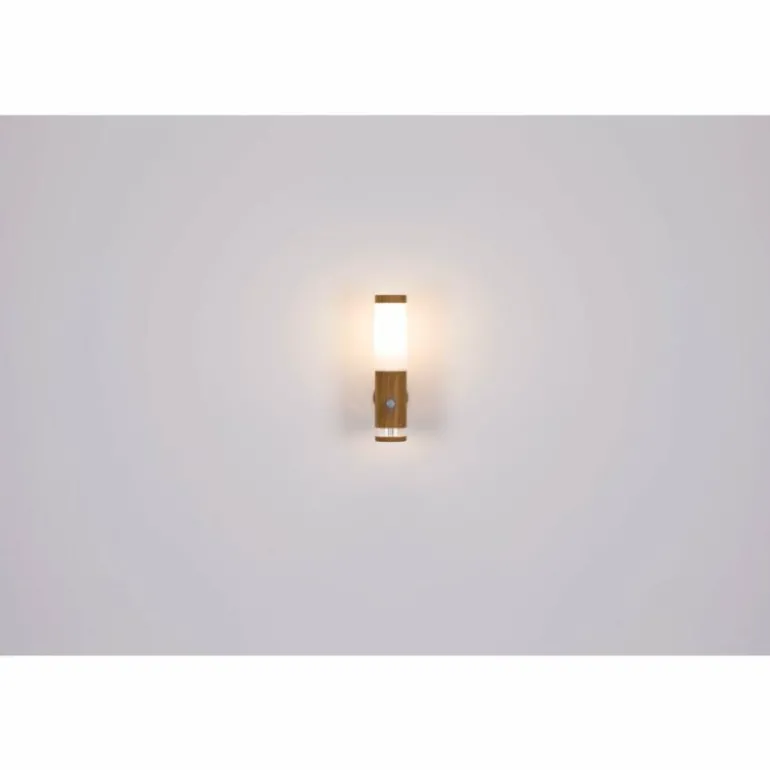 Applique murale d'extérieur Globo JAICY Couleur bois, 1 lumière