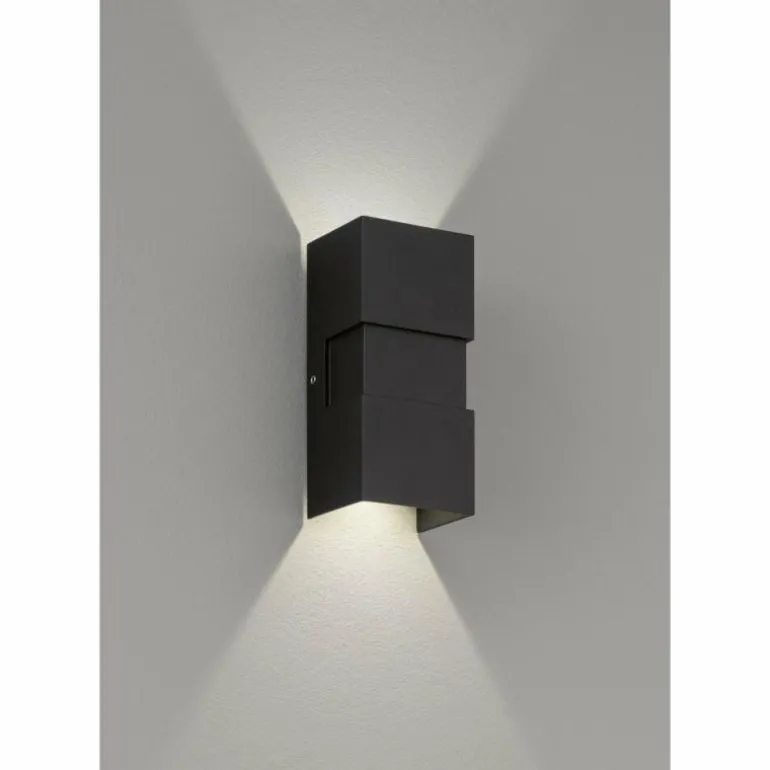 Applique murale d'extérieur Fischer-Honsel Oslo LED Noir, 2 lumières