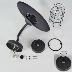 Applique murale d'extérieur Oricourt Noir, 1 lumière