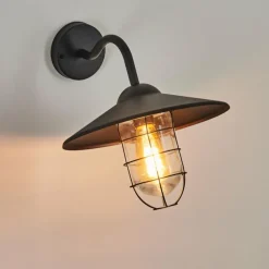 Applique murale d'extérieur Oricourt Noir, 1 lumière