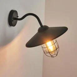 Applique murale d'extérieur Oricourt Noir, 1 lumière