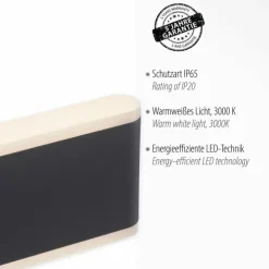 Applique murale d'extérieur Paul-Neuhaus ELSA LED Anthracite, 2 lumières