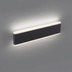 Applique murale d'extérieur Paul-Neuhaus ELSA LED Anthracite, 2 lumières