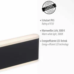 Applique murale d'extérieur Paul-Neuhaus ELSA LED Anthracite, 2 lumières