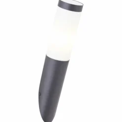 Applique murale d'extérieur Brilliant-Leuchten Dody Noir, 1 lumière