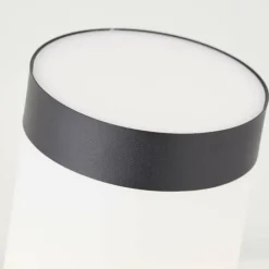 Applique murale d'extérieur Brilliant-Leuchten Dody Noir, 1 lumière, Détecteur de mouvement