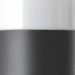 Applique murale d'extérieur Brilliant-Leuchten Arthus Noir, 1 lumière