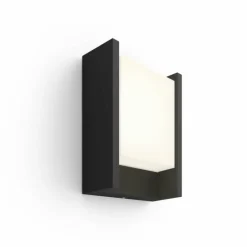 Applique murale d'extérieur Philips Hue White Fuzo LED Noir, 1 lumière