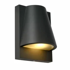 Applique murale d'extérieur Lucide LIAM Anthracite, 1 lumière
