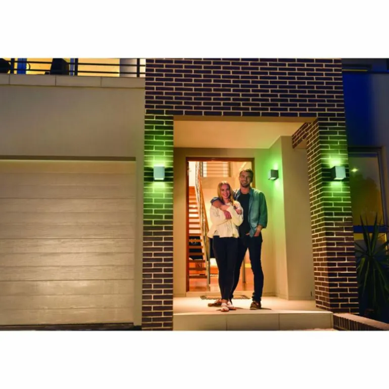 Applique murale d'extérieur LEDVANCE Smart+ Acier brossé, 1 lumière