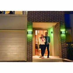 Applique murale d'extérieur LEDVANCE Smart+ Acier brossé, 1 lumière