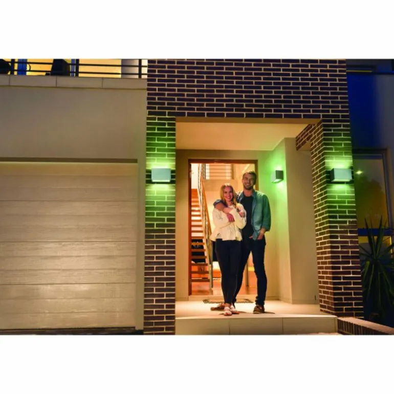 Applique murale d'extérieur LEDVANCE Smart+ Acier brossé, 1 lumière