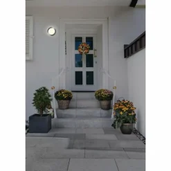 Applique murale d'extérieur LEDVANCE ENDURA Acier brossé, 1 lumière