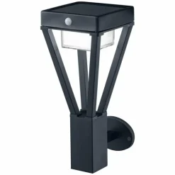 Applique murale d'extérieur LEDVANCE ENDURA Noir, 1 lumière, Détecteur de mouvement