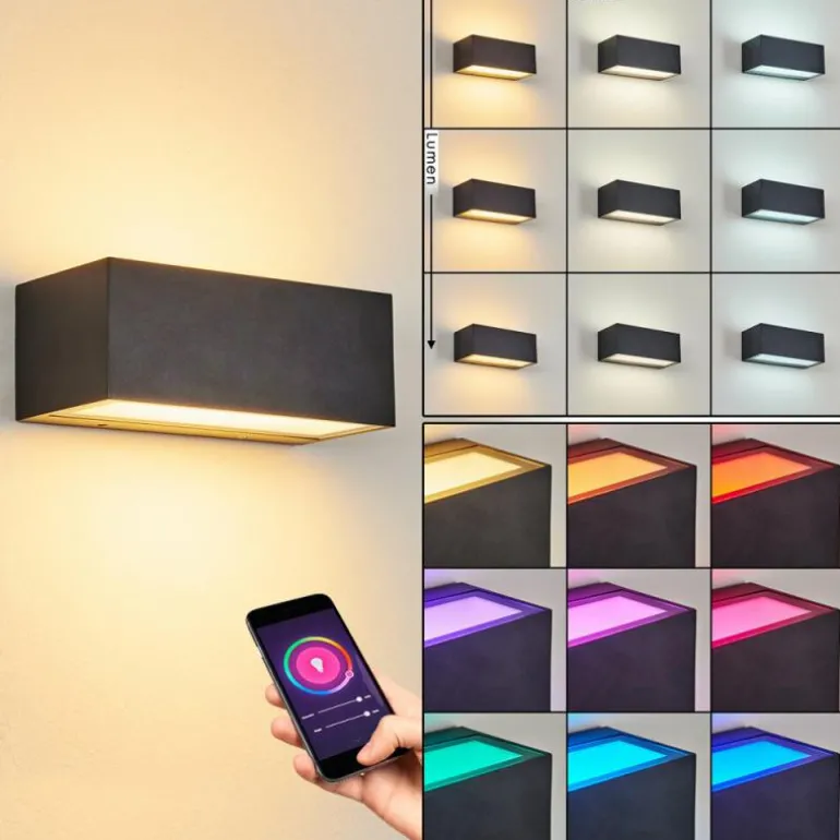 Applique murale d'extérieur Spidern LED Anthracite, 1 lumière, Changeur de couleurs