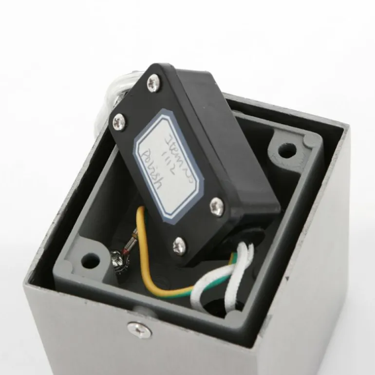 Applique murale d'extérieur Steinhauer Acier inoxydable, 1 lumière